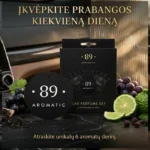 89 automobilio oro gaiviklių rinkinys 6vnt.